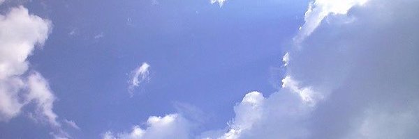 demond_d Profile Banner