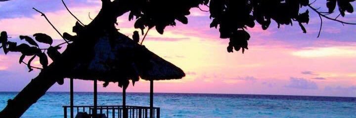 PalumboAissa's profile banner image