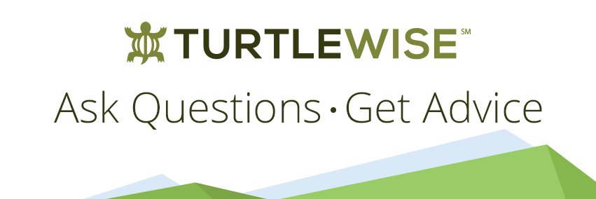 TurtleWise's profile banner image