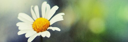 WalkerMaiyah's profile banner image