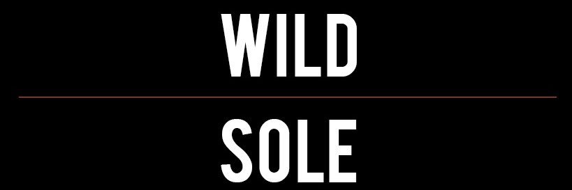 Wild_Sole's profile banner image