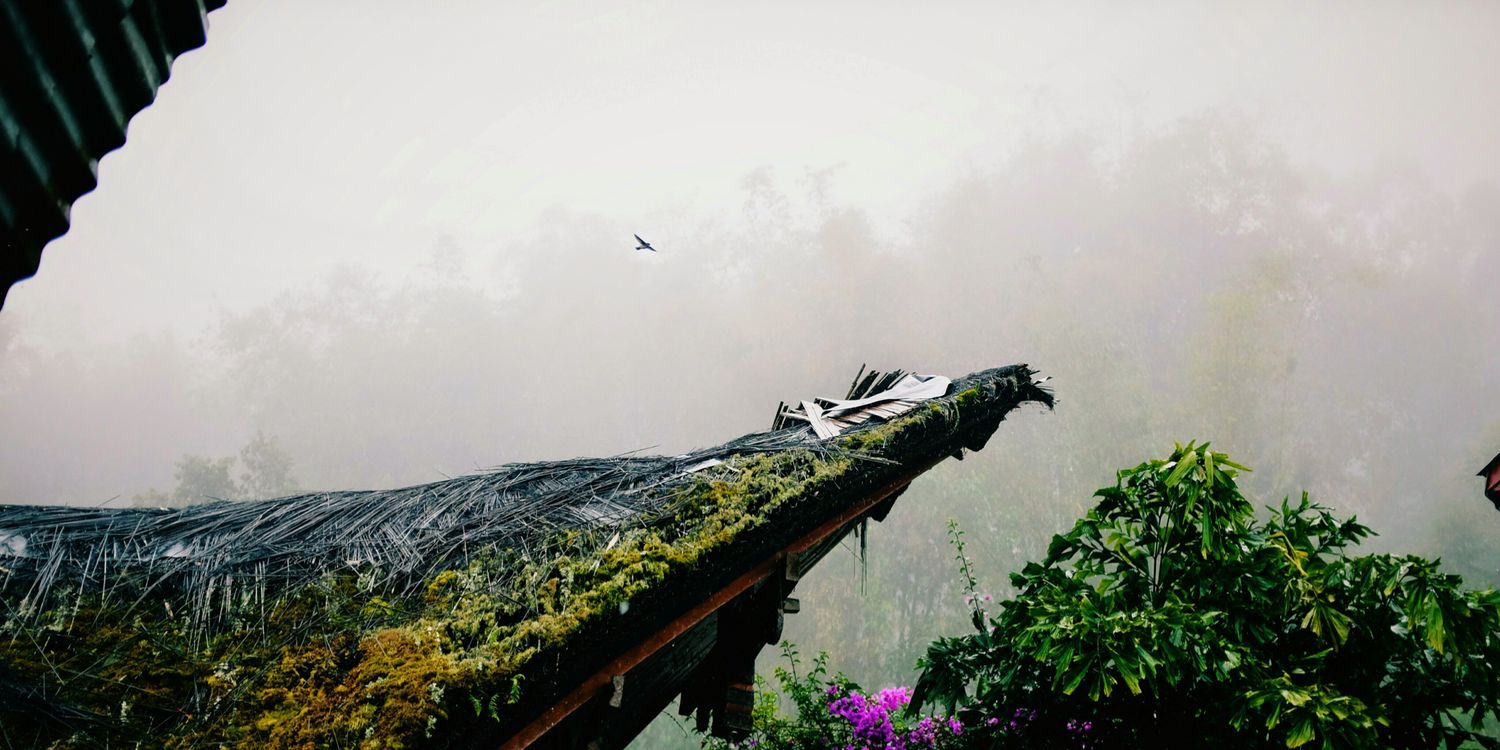 ericwmeier's profile banner image