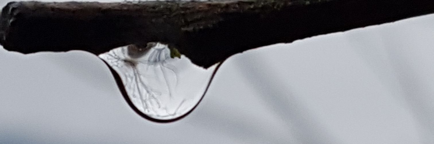 ZippoBuisson's profile banner image
