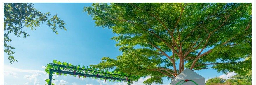 nan__nan__'s profile banner image
