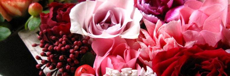 beautyaffe1's profile banner image