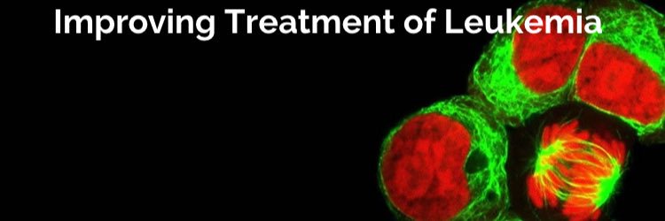 SaudiLeukemia's profile banner image