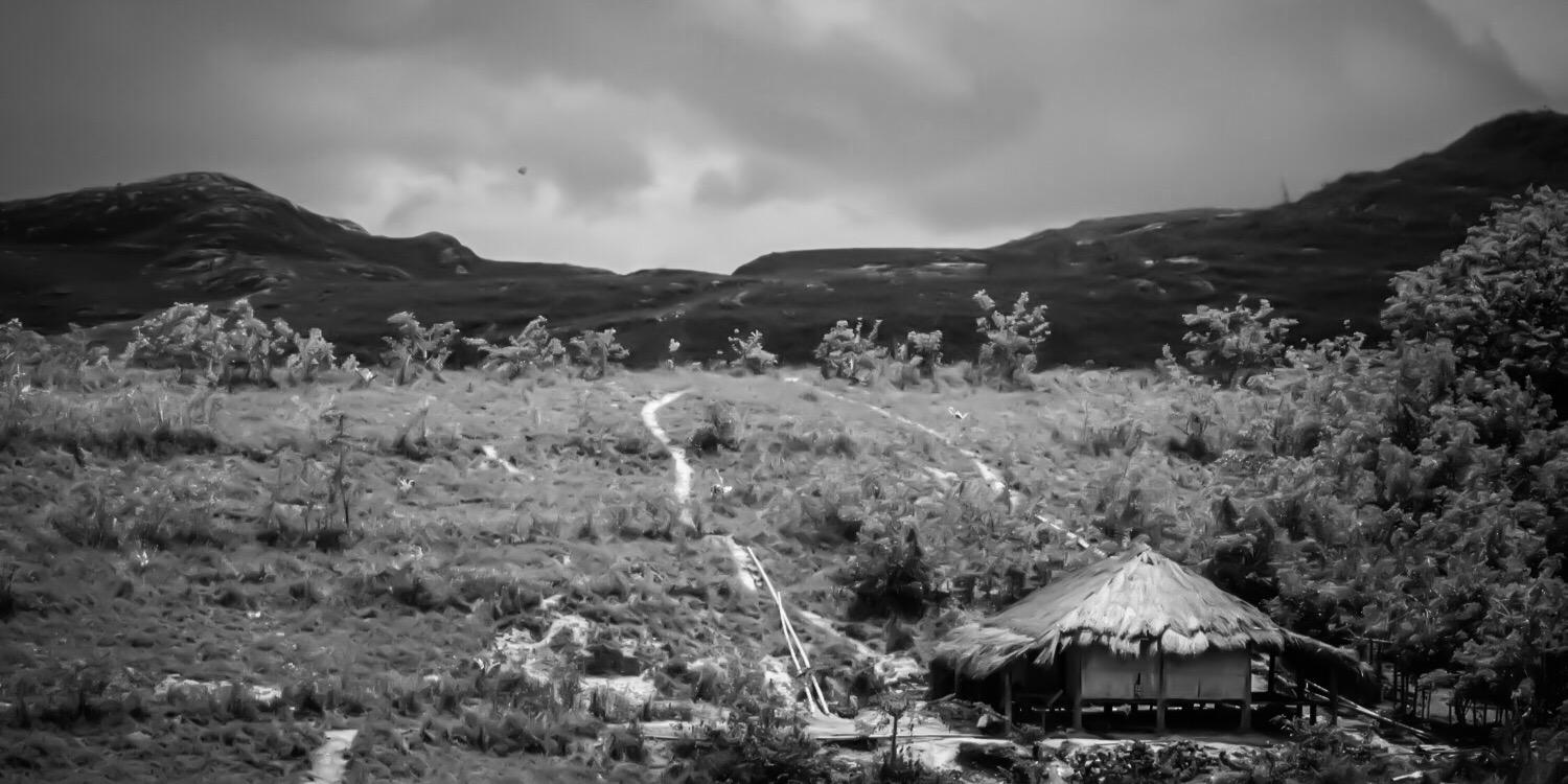 RoderickMozes banner