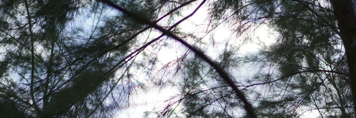 timohtey's profile banner image
