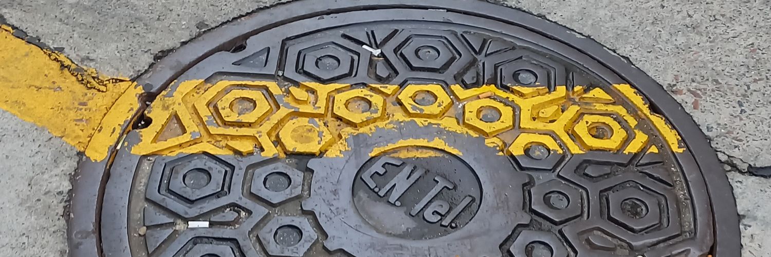 soylto's profile banner image