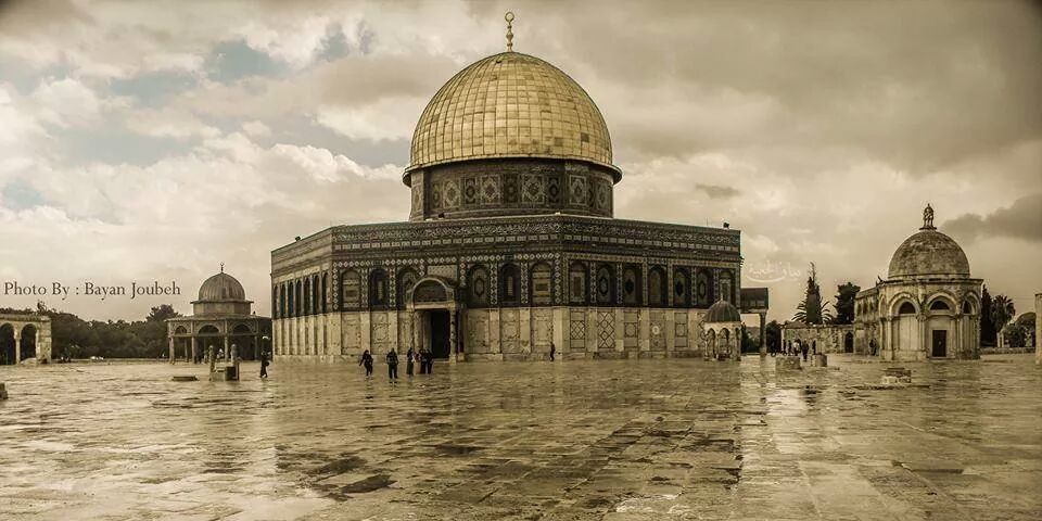 ZeyadMohey's profile banner image