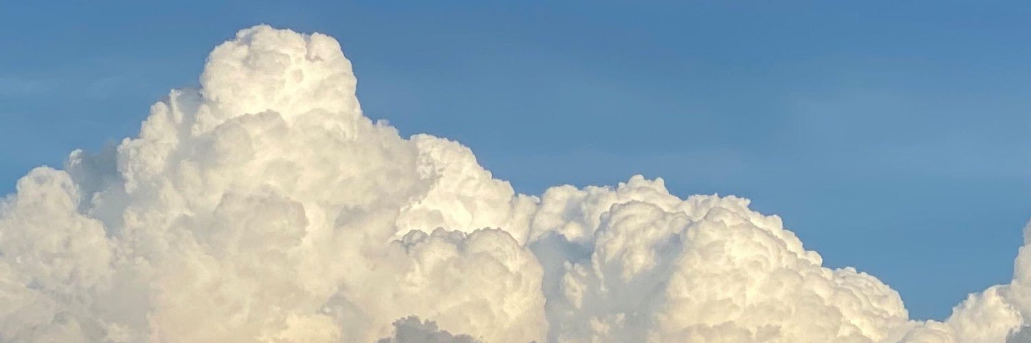 piabadion's profile banner image