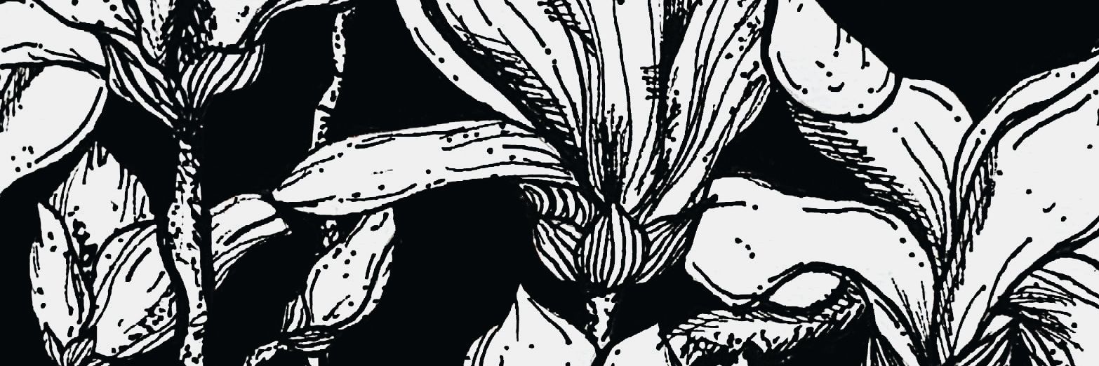 petitegaban's profile banner image