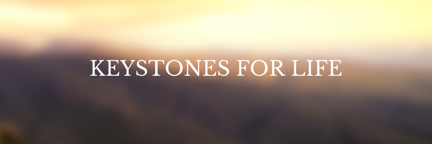 Lifekeystones's profile banner image