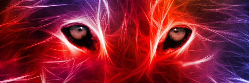 N1GHTFALL's profile banner image