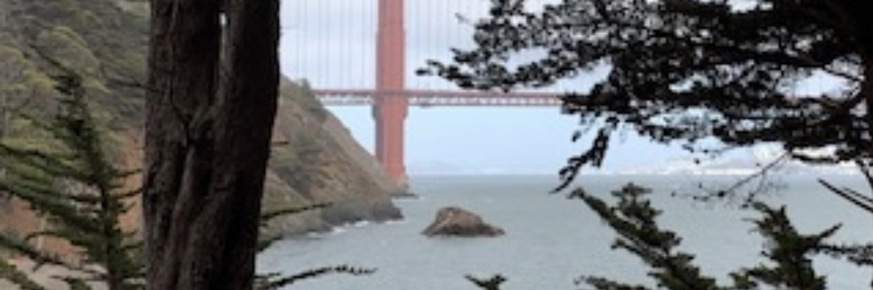 roxanitag1's profile banner image