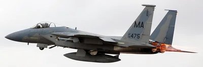 The Drunken Vizsla banner