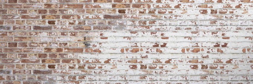 MadisonTilo's profile banner image