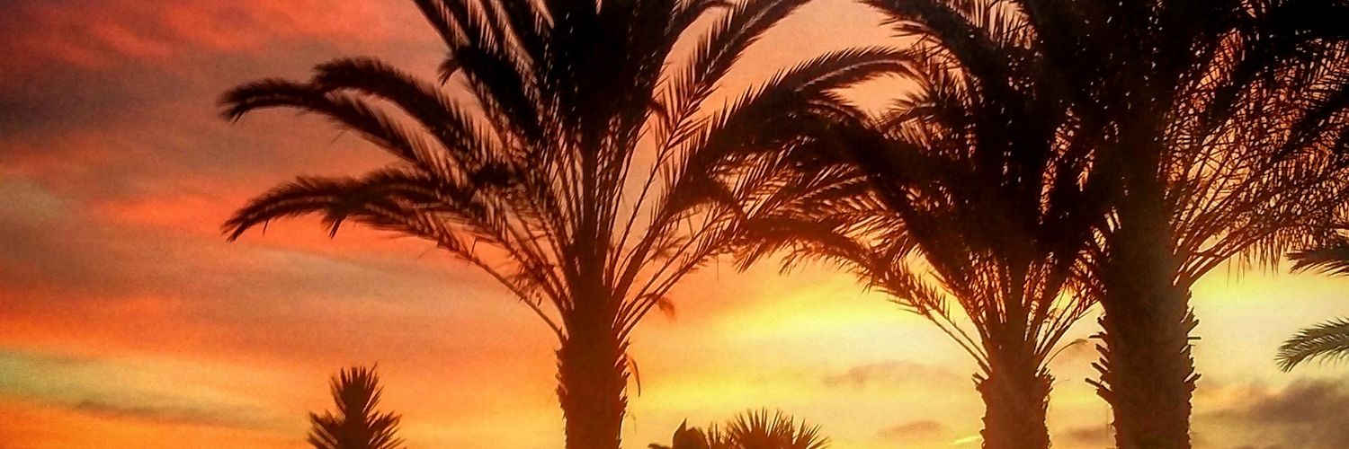 Aoife0712's profile banner image