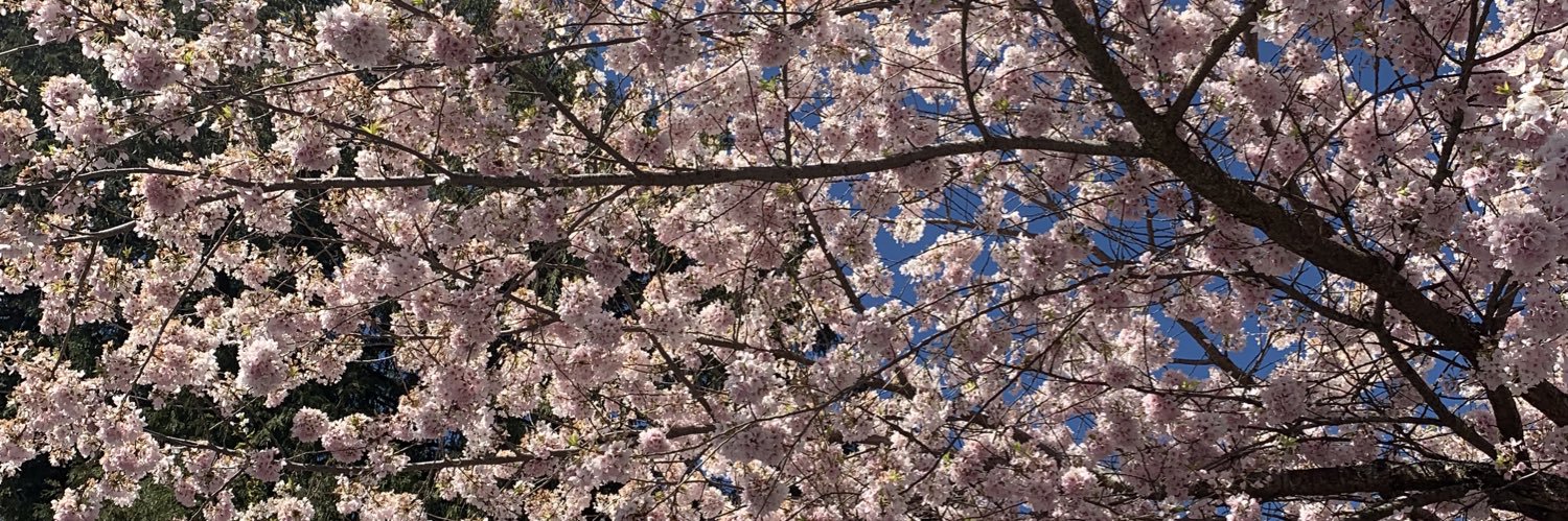 TheMeganEdwards's profile banner image