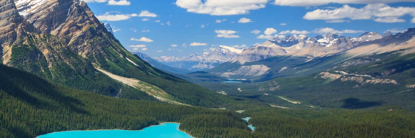 İbrahim Kahveci banner