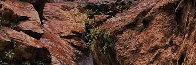 rafaitoos's profile banner image