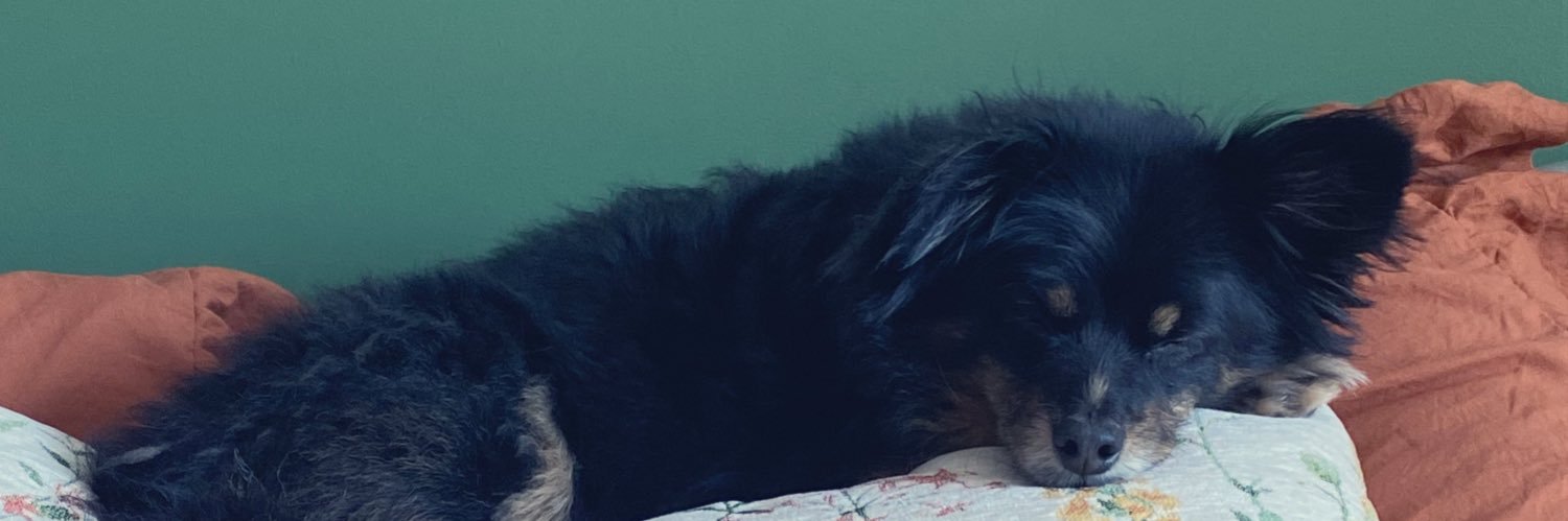 littlebk18's profile banner image