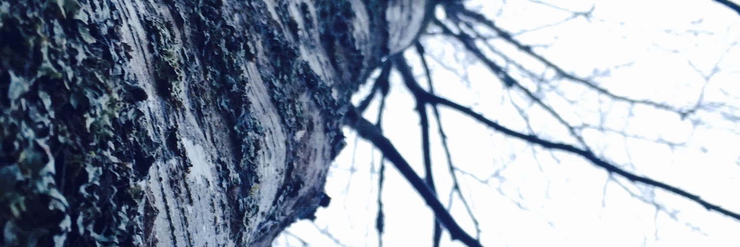 ceclut's profile banner image