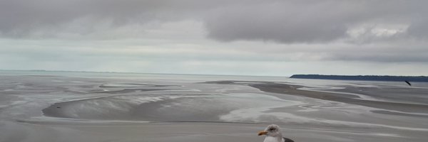 RoquelaureYves Profile Banner