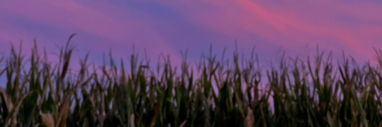 Stregatto_'s profile banner image