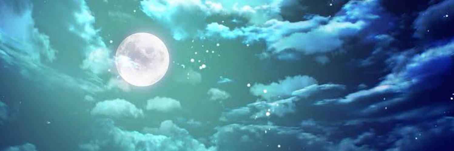 alterolter's profile banner image