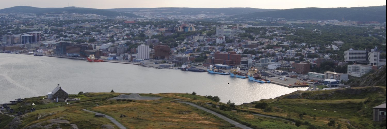 David Tarrant banner