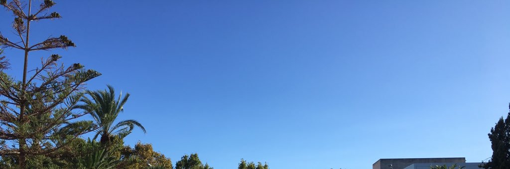 syrjahe's profile banner image