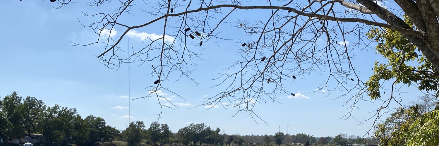 lekscsi's profile banner image