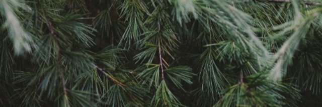Korabelnikov_A's profile banner image