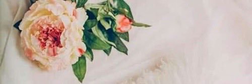 T_T39Y_Y's profile banner image