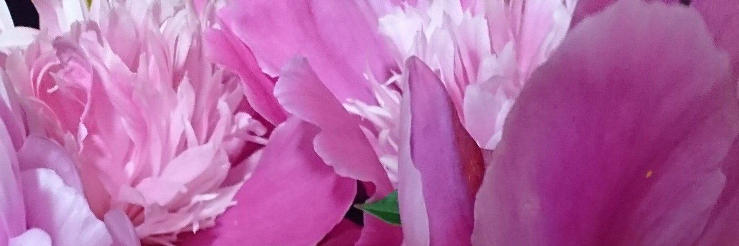 h_imani's profile banner image