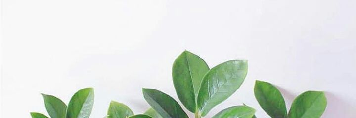 np banner