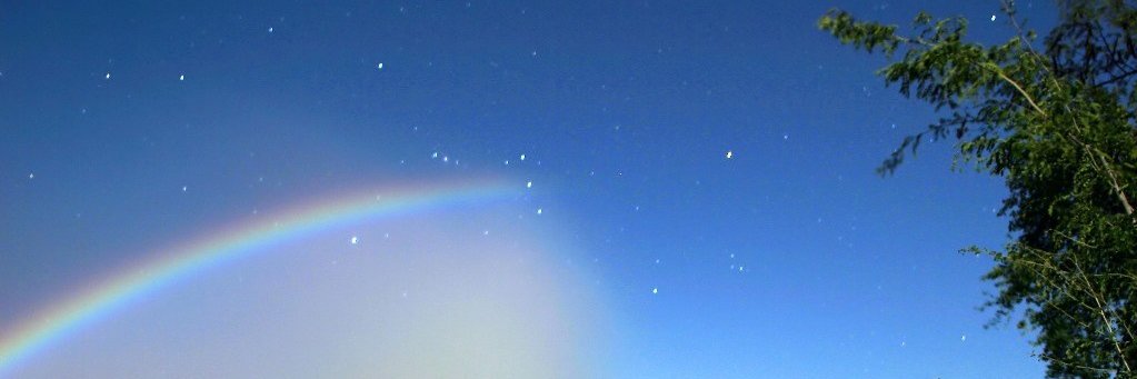dellomoxx's profile banner image