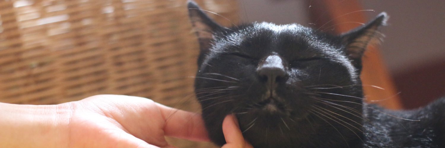 เจ้าฉ่ำ🤍 banner