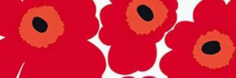 西園寺流星群 a.k.a. Psychedelic on "Z" banner