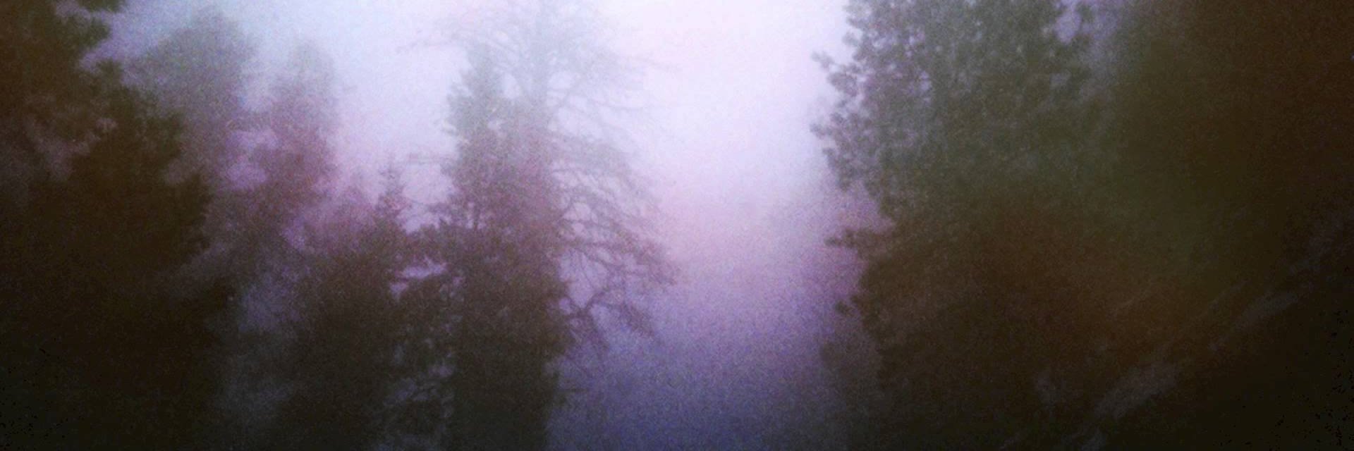 Wes ー 静的バースト banner