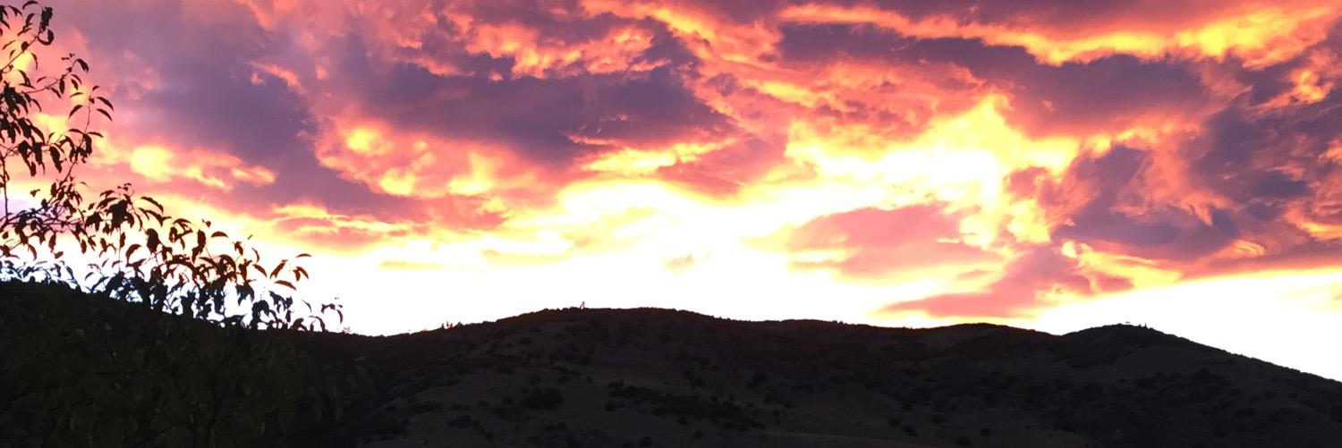patrickjleonard's profile banner image