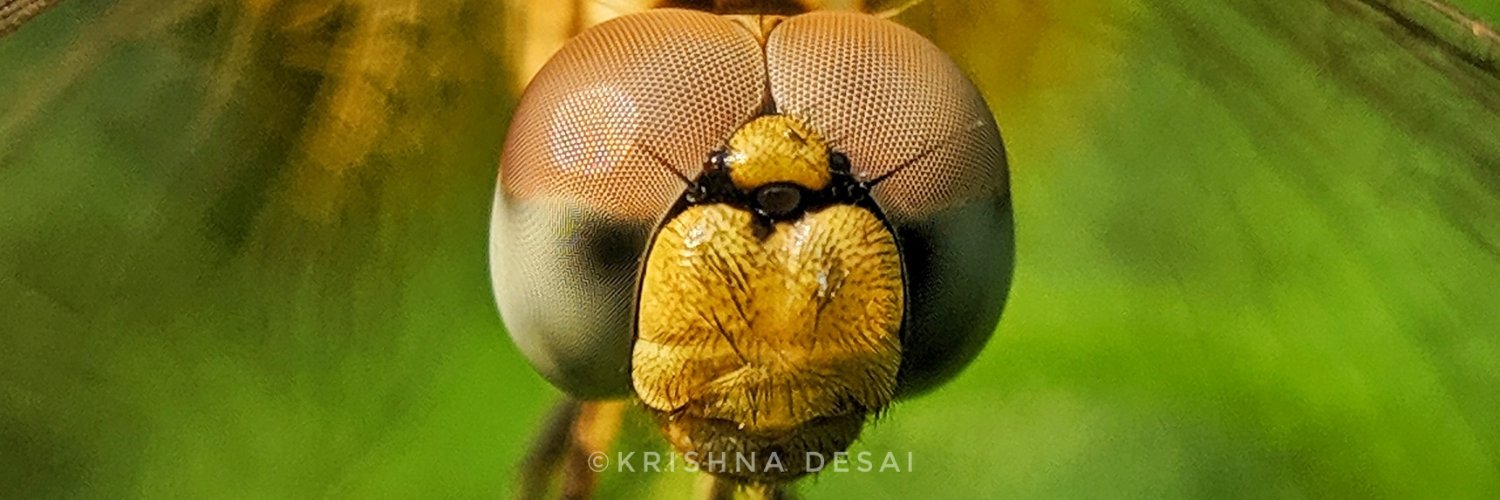 krishna99always's profile banner image