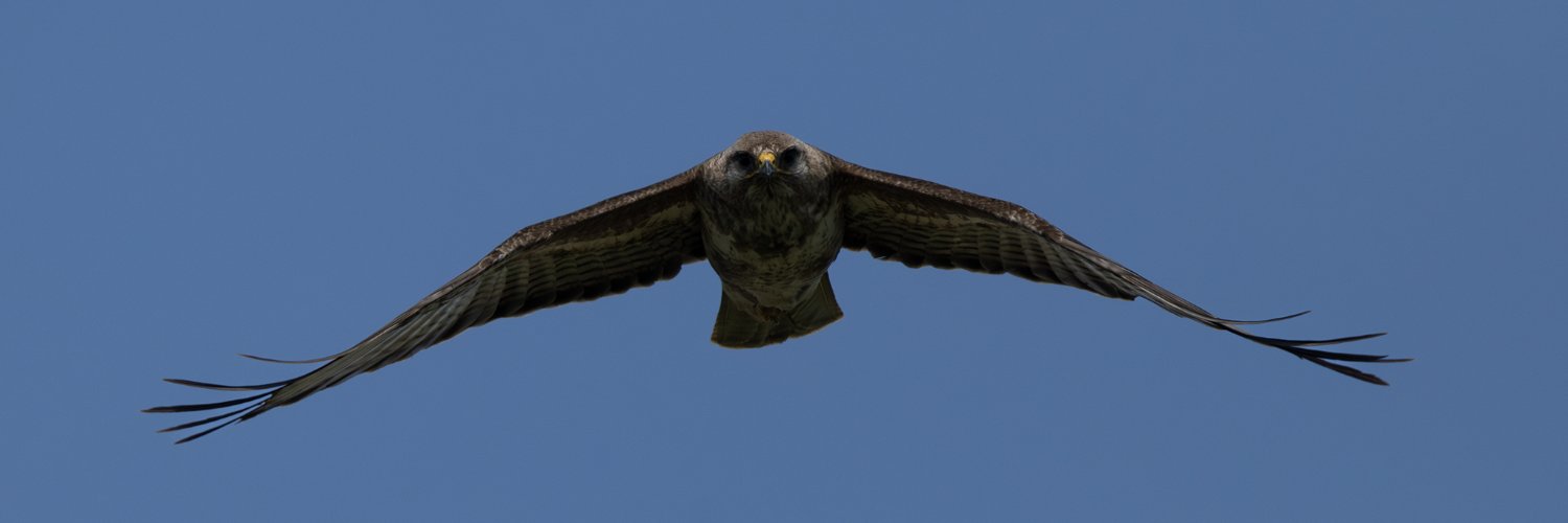 DaveJarvis3's profile banner image