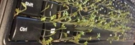 Feloski_'s profile banner image