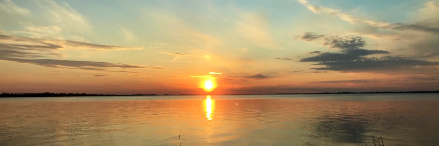 jesshutt's profile banner image
