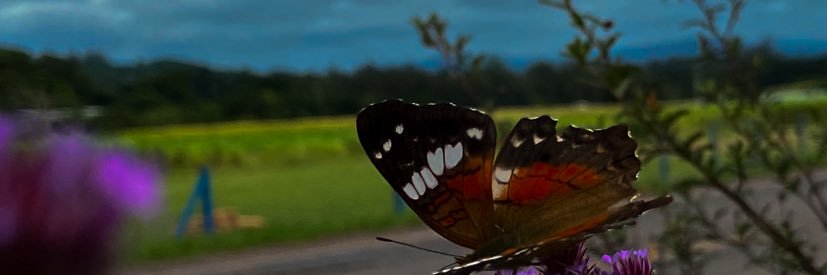 rita98s's profile banner image