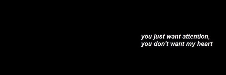steopacheco's profile banner image