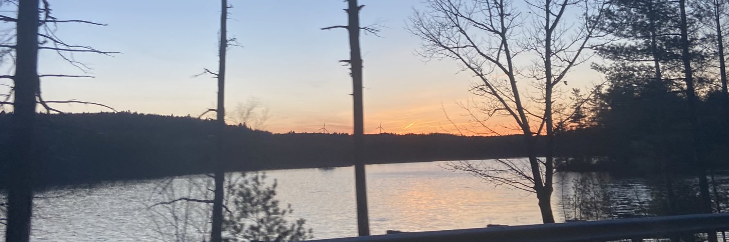 inesft_'s profile banner image
