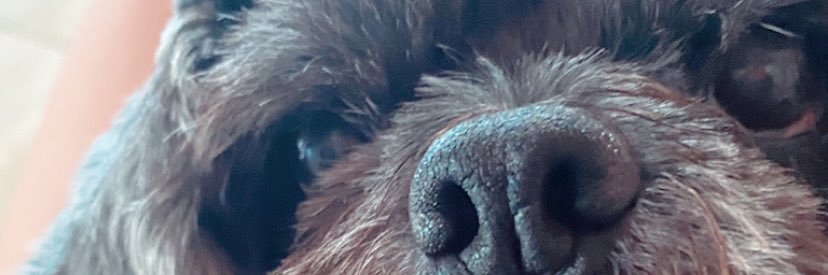 Marin_Gaabi's profile banner image